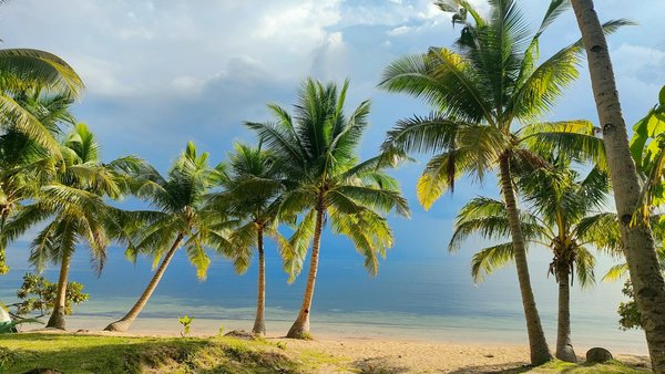 Voyager en voiture : trucs et astuces pour économiser sur la route